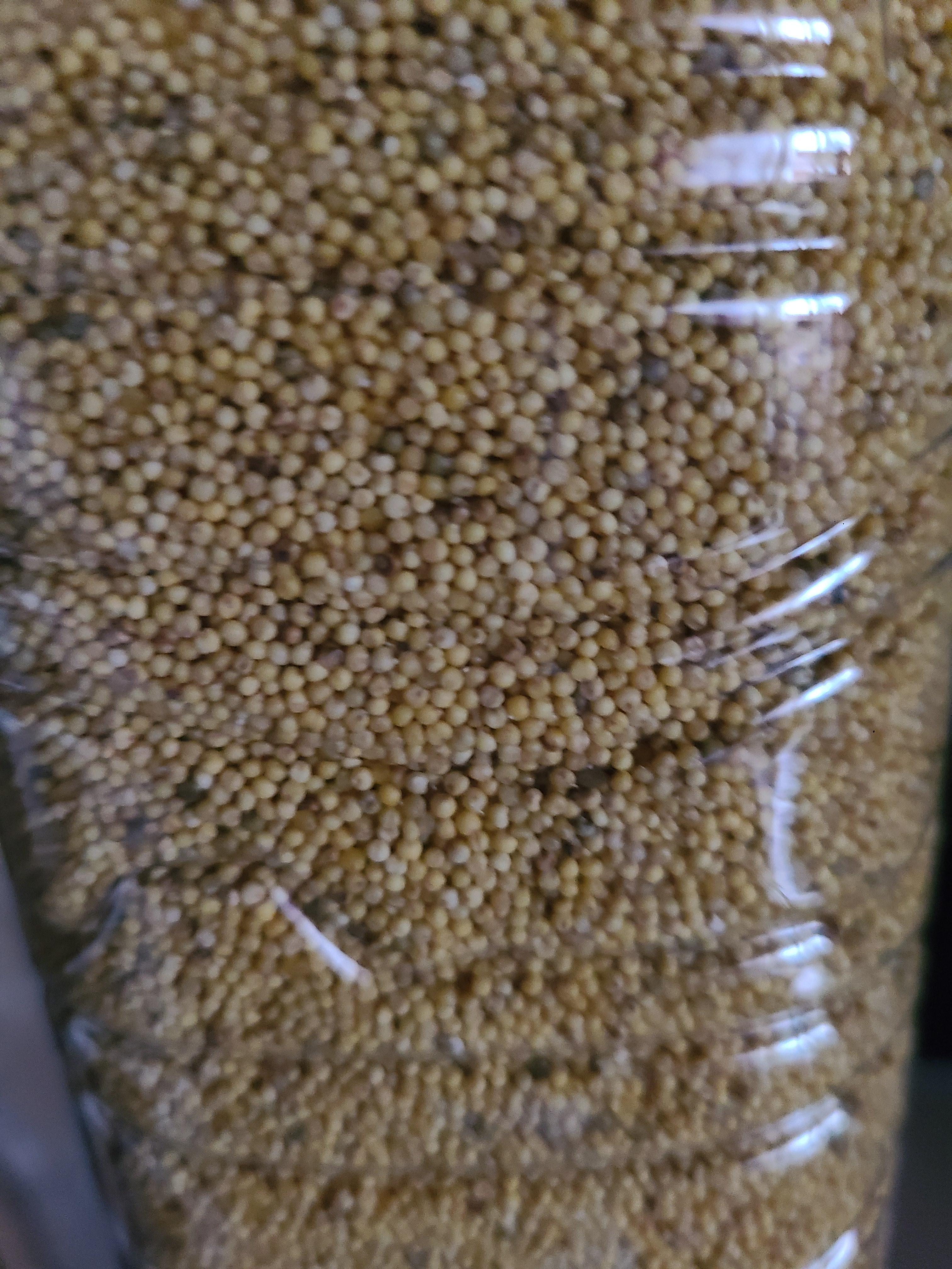 노란차조 1kg/2kg