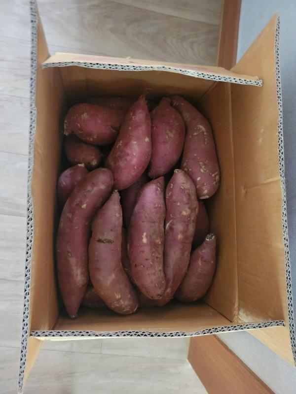 세척 꿀고구마 2kg/3kg/5kg/10kg