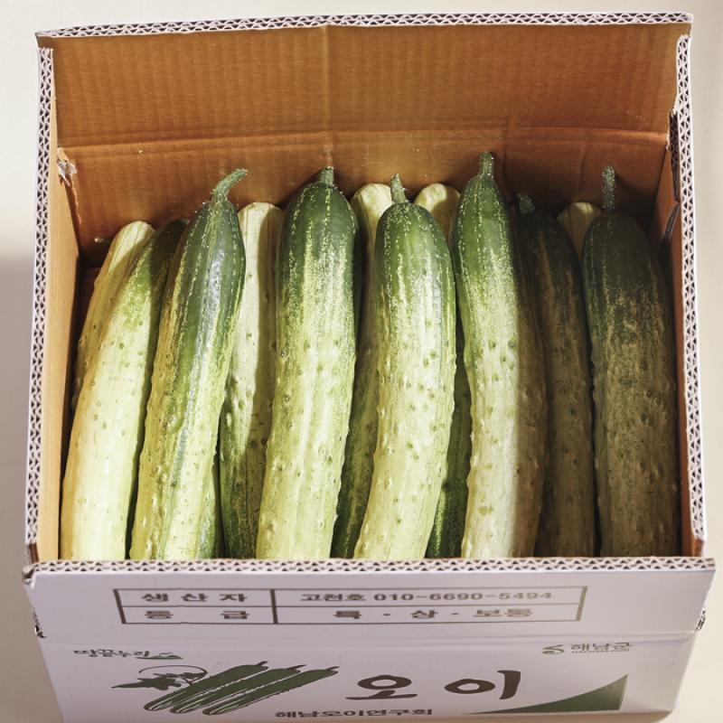 백다다기오이 5kg(20개 내외)