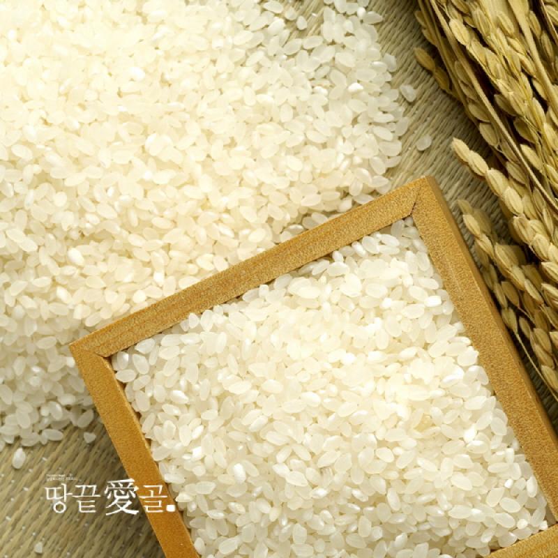 백미(신동진) 10kg