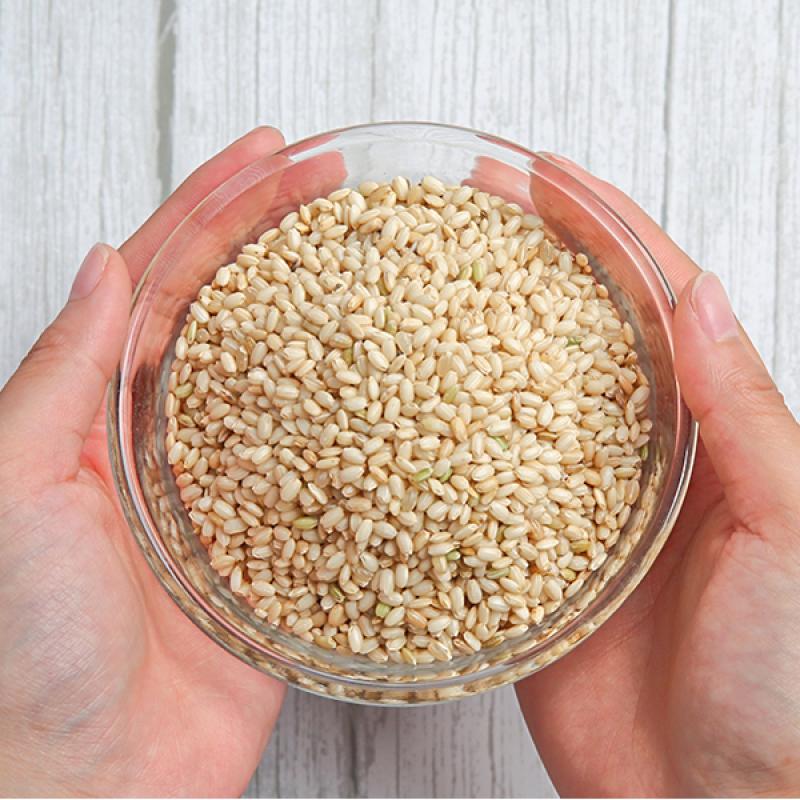 찹쌀현미 2kg/4kg(2kg+2kg)