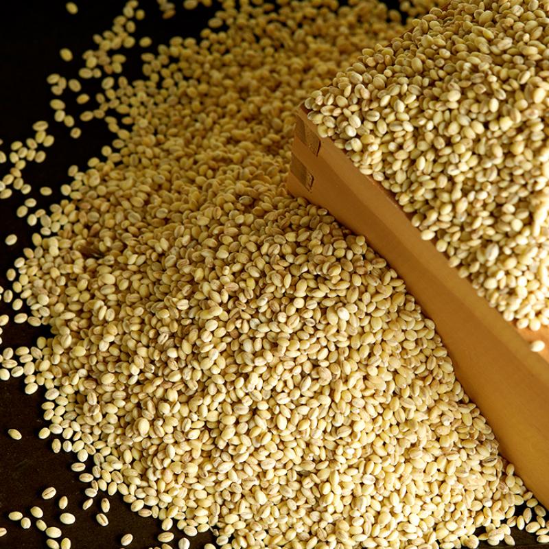 유기농 찰보리 1kg