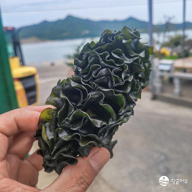 쫄쫄이 미역귀 200g*1봉지/2봉지