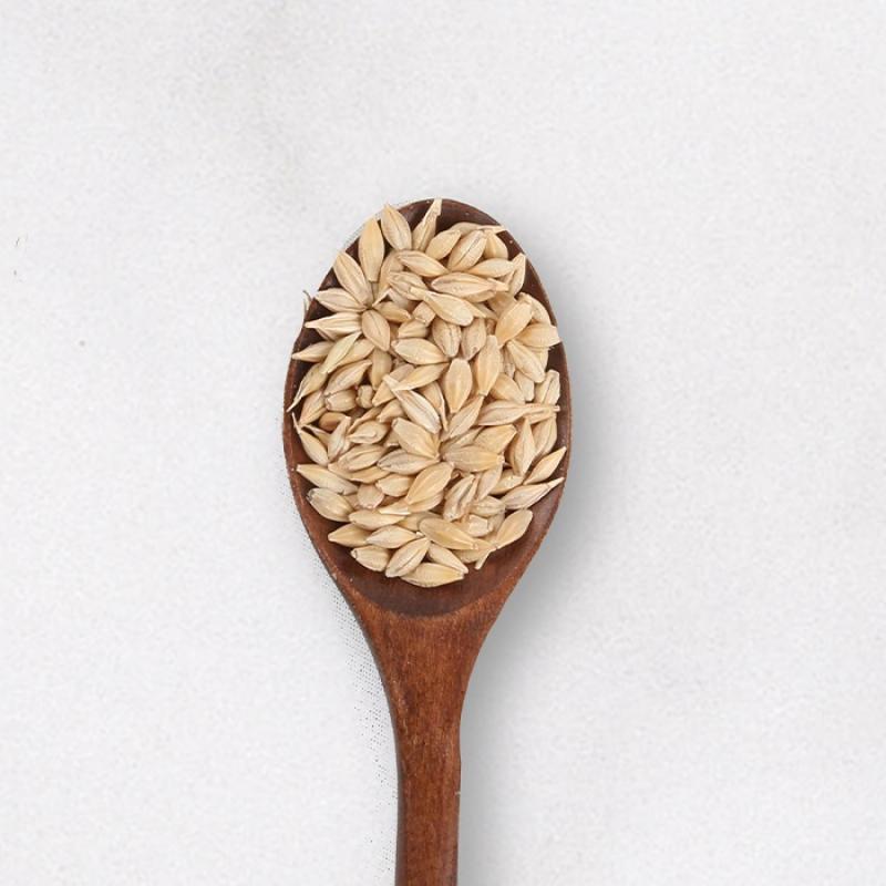 2023년산 겉보리 1.8kg/3.6kg(2023년산)