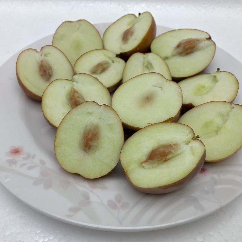 무농약 건 사과대추 500g/1kg