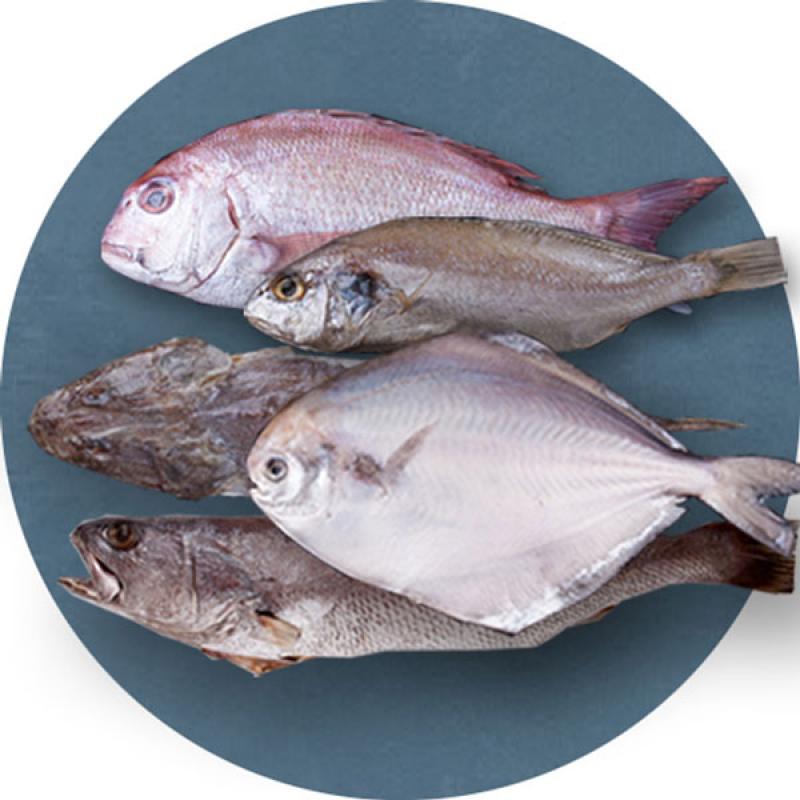 반건조생선 선물세트1호