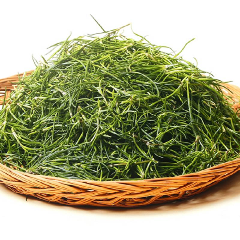 세발나물 2kg/4kg