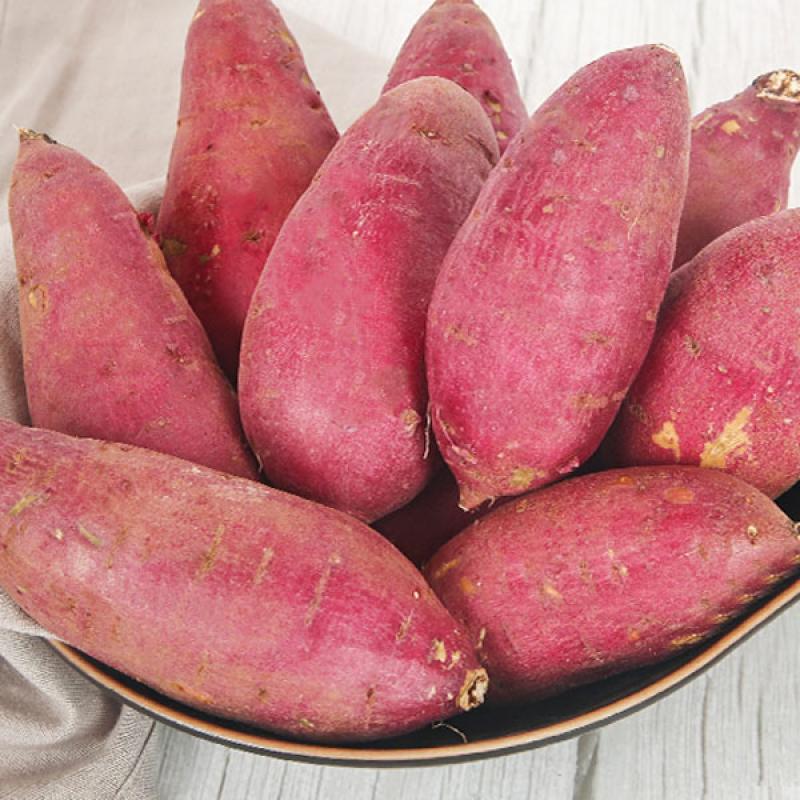 조영래 세척 꿀고구마 3kg/5kg/10kg