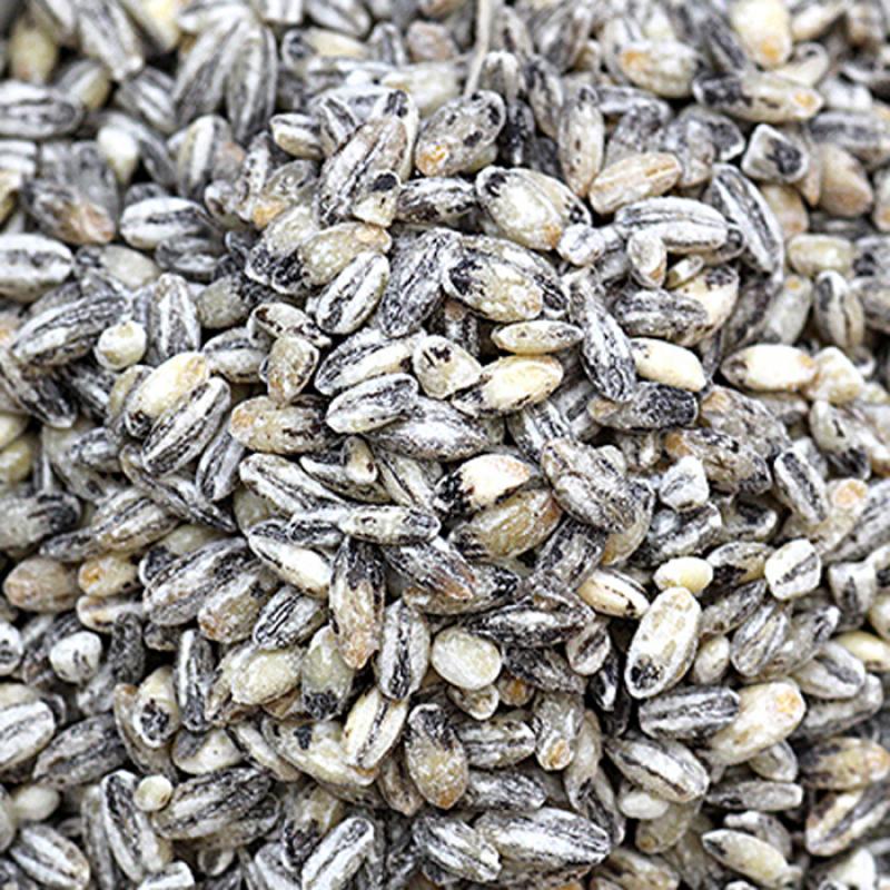 검정보리쌀 600g/1kg/5kg/10kg