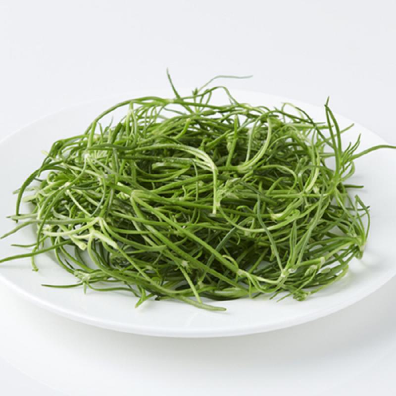 세발나물 2kg/4kg