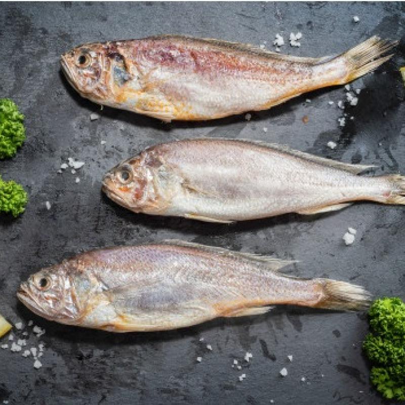 반건조 참조기16미(16-18cm/750g) / 3미(20cm)