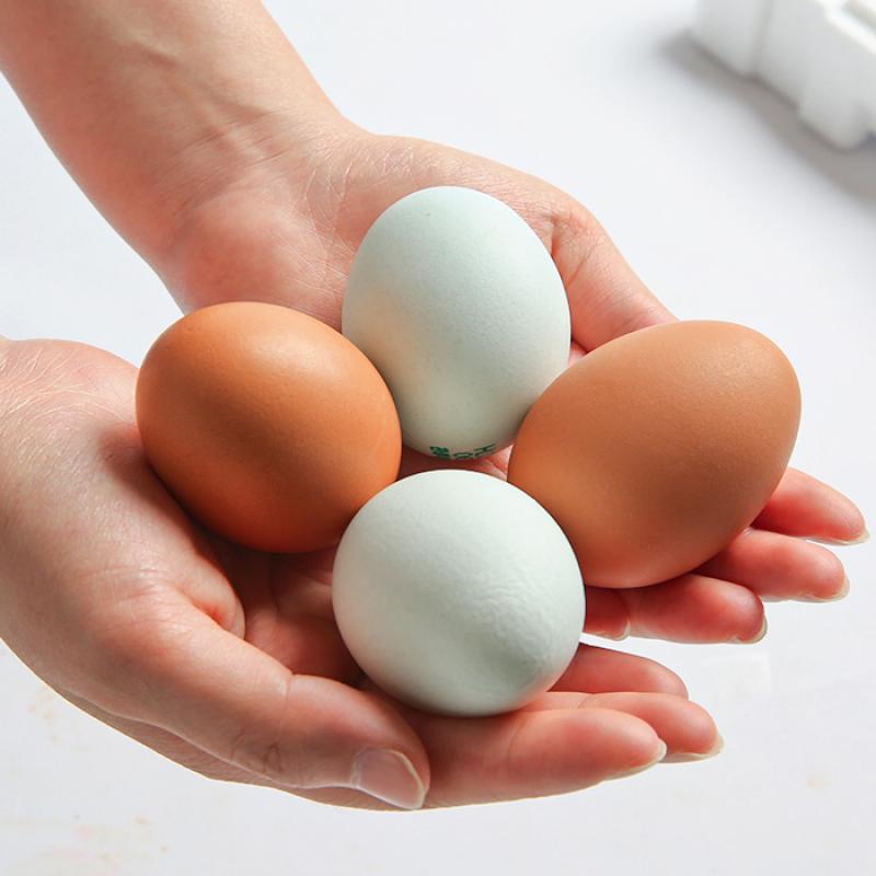 유황청란 20구/40구(유정란)