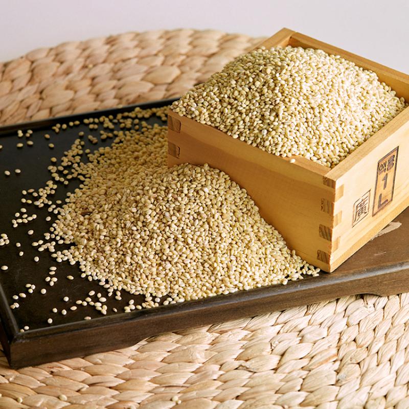 유기농 찰보리 1kg