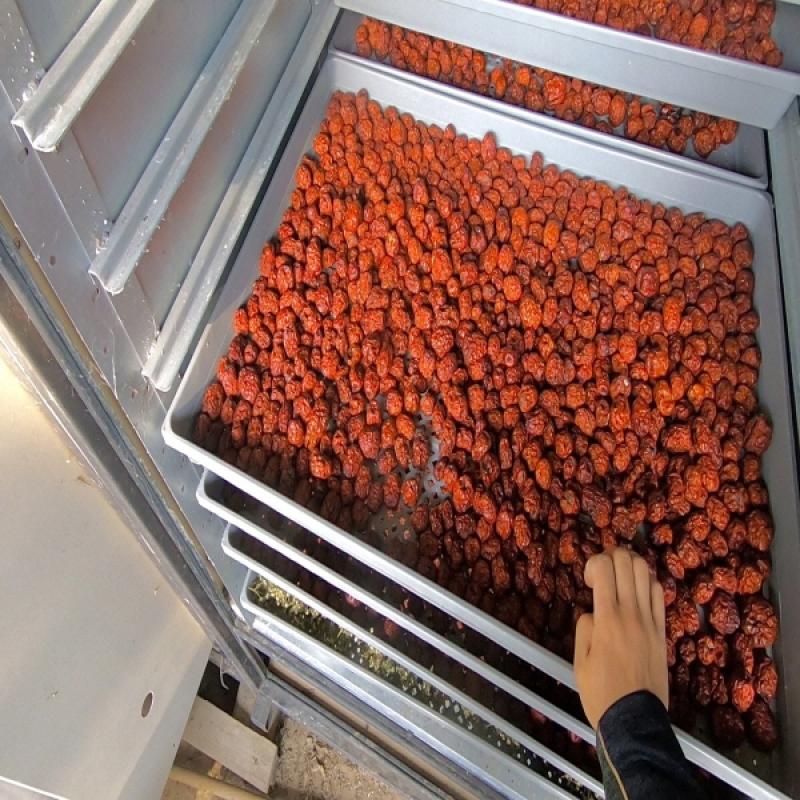 무농약 건 사과대추 500g/1kg