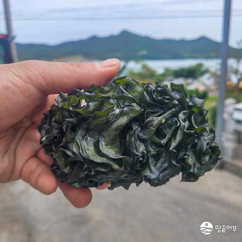 쫄쫄이 미역귀 200g*1봉지/2봉지