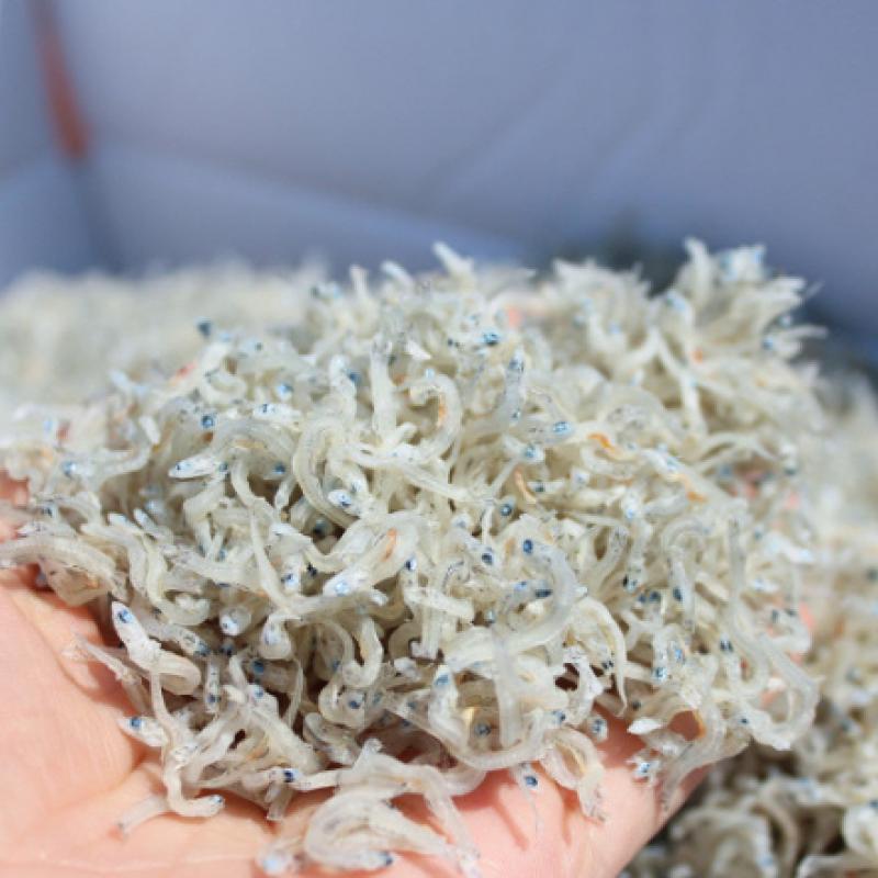 멸치(지리/아기/세/소/중/다시/디포리) 250g