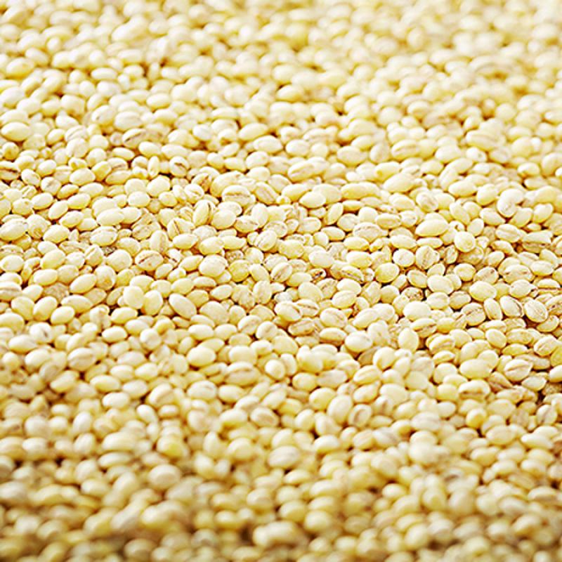 찰보리쌀 600g/1kg/5kg/10kg