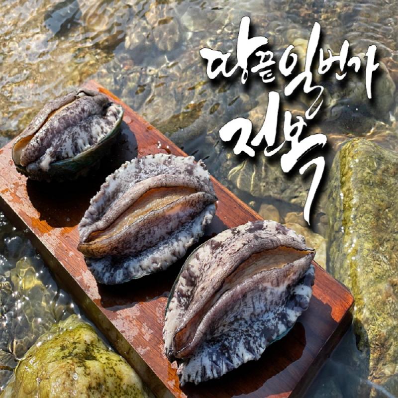 활전복 1kg