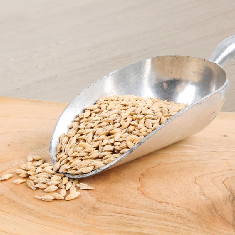 2023년산 겉보리 1.8kg/3.6kg(2023년산)